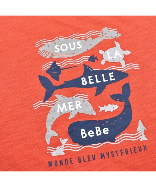 BeBe（ベベ）の「BeBe/【蓄光プリント】スラブ天竺海の生き物プリントTシャツ(80~150cm)（Tシャツ/カットソー・キッズ・オレンジ/グリーン・150/90/100/140/110/80/120/130）」の14枚目の写真