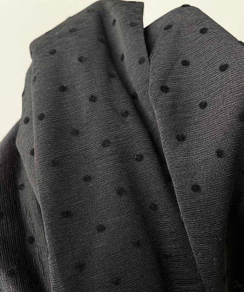 PICCIN PERLA(ピッチンペルラ)の「フロッキードットシアークルーネックカットソー(Tシャツ/カットソー・レディース・ブラック・M)」の18枚目の写真
