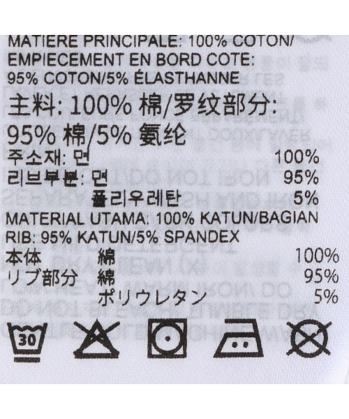 Reebok(リーボック)の「ビッグロゴ クロップTシャツ / IDENTITY BIG LOGO CROP TEE(Tシャツ/カットソー・レディース・ライトグレー/ブラック/ホワイト系その他・LARGE/MEDIUM/SMALL/XX-LARGE/X-LARGE/X-SMALL)」の14枚目の写真
