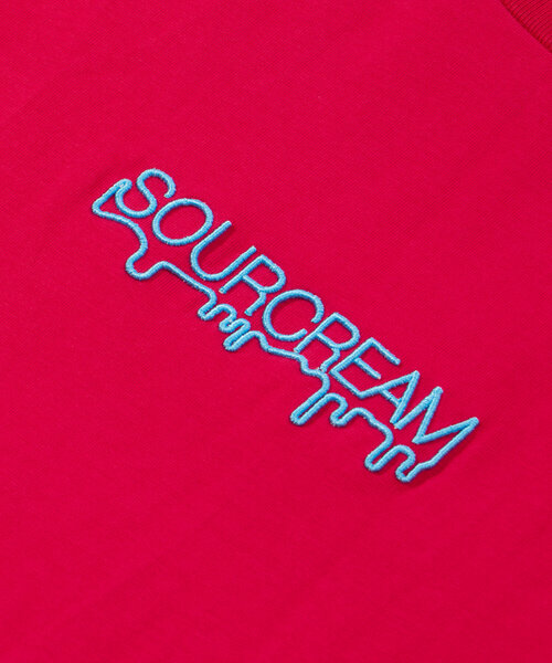 Sourcream(サワークリーム)の「2サイズ【Sourcreama/サワークリーム】3D刺繍ロゴTEE(Tシャツ/カットソー・レディース・ボルドー/ブラック/ブラウン/ホワイト/カーキ・MEDIUM/LARGE)」の6枚目の写真