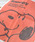 PEANUTSis[ibcj́uqPEANUTS/s[ibcr Xk[s[ DISH CLOTH/␶nӂiLb`c[jvbbh
