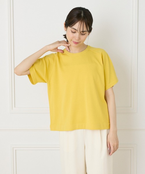 イネド セール】【WEB限定】Tシャツ風プルオーバーニット（ニット