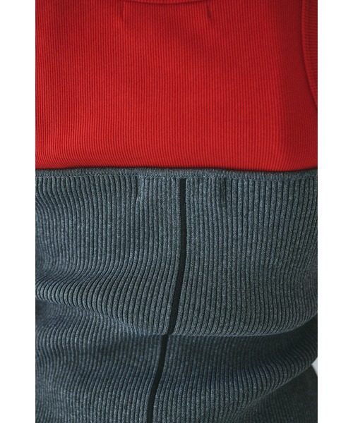 HeRIN.CYE（ヘリンドットサイ）の「Front button knit bustier　　フロントボタンニットビスチェ（ニット/セーター・レディース・ミント/グレー/レッド/ブラウン・FREE）」の8枚目の写真