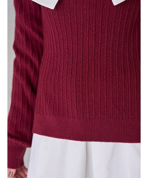 シャツコンビチュニック（その他トップス）｜SNIDEL（スナイデル）の