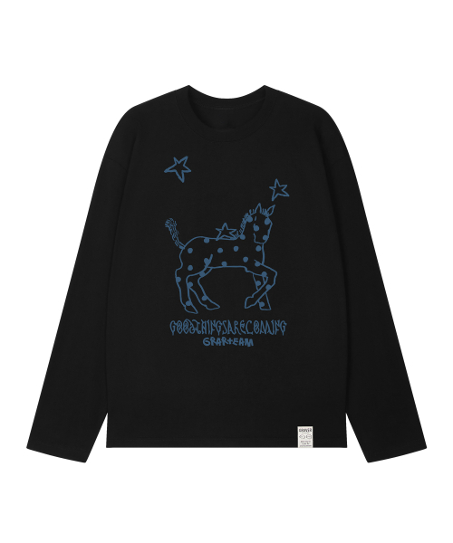 GRAVER（グレーバー）の「[ユニセックス]ドットポニー ヴィンテージ ロングスリーブ Tシャツ_5カラー（Tシャツ/カットソー・レディース・スカイブルー/インディゴブルー/アイボリー/ホワイト/ブラック・MEDIUM/LARGE）」の10枚目の写真