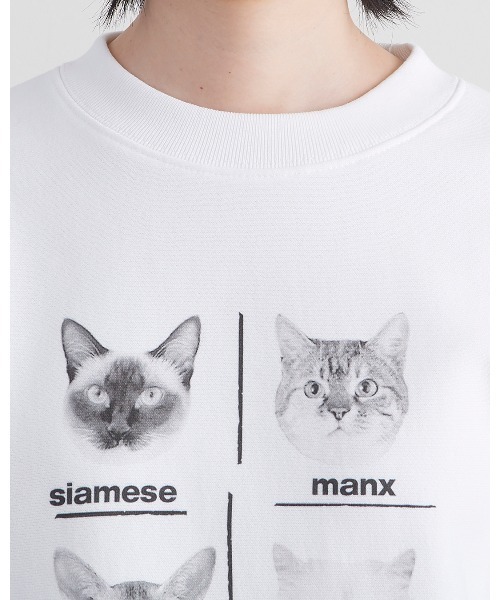 THE BAREFOOT(ベアフット)の「【 ALDAYS / オルデイズ 】 CATS / キャッツ AL-AW019 DLI(スウェット・レディース・ライトグレー/ホワイト・FREE)」の11枚目の写真