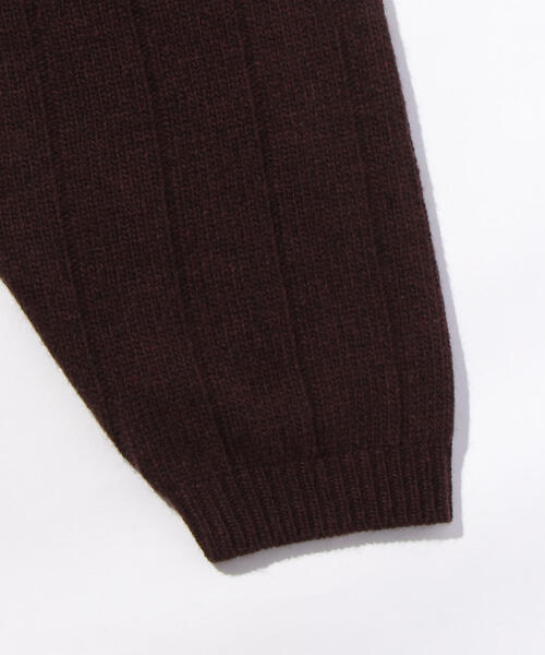 VAINL ARCHIVE（ヴァイナルアーカイブ）の「＜LACOSTE＞×＜BEAUTY&YOUTH＞ by ＜VAINL ARCHIVE＞ ZIP CGN/カーディガン（カーディガン/ボレロ・メンズ・ブラック/ブラウン/レッド・4/2/5/3）」の10枚目の写真