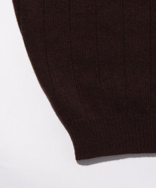 VAINL ARCHIVE（ヴァイナルアーカイブ）の「＜LACOSTE＞×＜BEAUTY&YOUTH＞ by ＜VAINL ARCHIVE＞ ZIP CGN/カーディガン（カーディガン/ボレロ・メンズ・ブラック/ブラウン/レッド・4/2/5/3）」の9枚目の写真