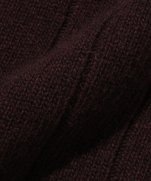 VAINL ARCHIVE（ヴァイナルアーカイブ）の「＜LACOSTE＞×＜BEAUTY&YOUTH＞ by ＜VAINL ARCHIVE＞ ZIP CGN/カーディガン（カーディガン/ボレロ・メンズ・ブラック/ブラウン/レッド・4/2/5/3）」の6枚目の写真