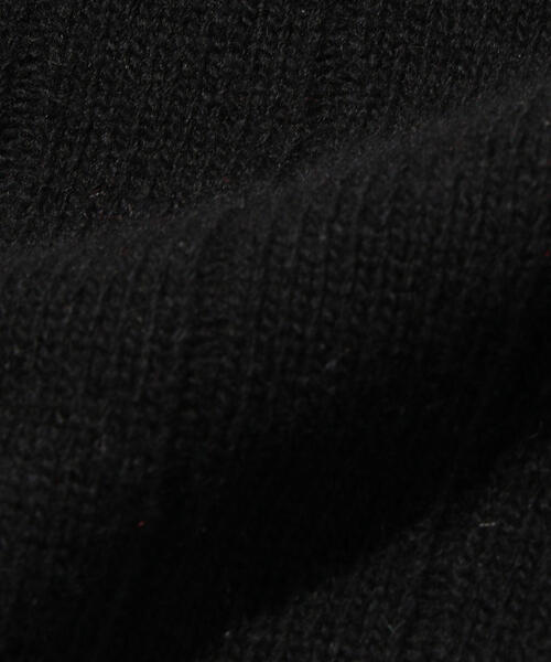 VAINL ARCHIVE（ヴァイナルアーカイブ）の「＜LACOSTE＞×＜BEAUTY&YOUTH＞ by ＜VAINL ARCHIVE＞ ZIP CGN/カーディガン（カーディガン/ボレロ・メンズ・ブラック/ブラウン/レッド・4/2/5/3）」の5枚目の写真