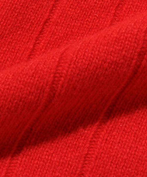 VAINL ARCHIVE（ヴァイナルアーカイブ）の「＜LACOSTE＞×＜BEAUTY&YOUTH＞ by ＜VAINL ARCHIVE＞ ZIP CGN/カーディガン（カーディガン/ボレロ・メンズ・ブラック/ブラウン/レッド・4/2/5/3）」の4枚目の写真