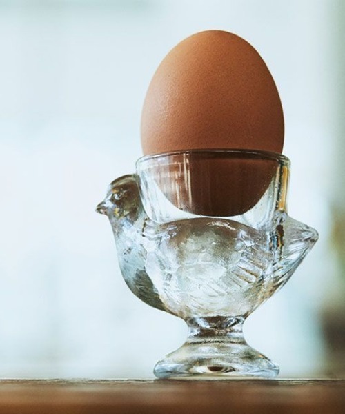 オストリッチ・エッグ飾り】 黒檀製スタンド 理科系 ダークアカデミア