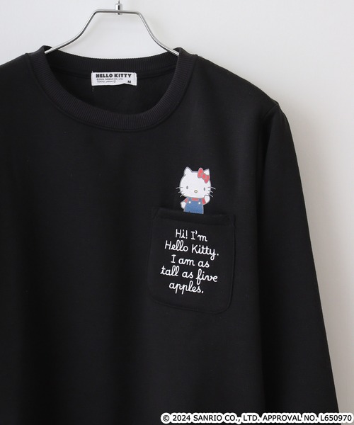 sanrio(サンリオ)の「サンリオキャラクターズ裏起毛トレーナー(スウェット・レディース・ブラック系1/ネイビー系1/レッド/ブラック系/チャコール/ネイビー/オートミール/ダークグリーン系/ブルー/ネイビー系2/アイボリー系/杢グレー/オフホワイト/ネイビー系/サックスブルー/アーミー/グレイッシュベージュ/ブラック・L/LL/M)」の3枚目の写真