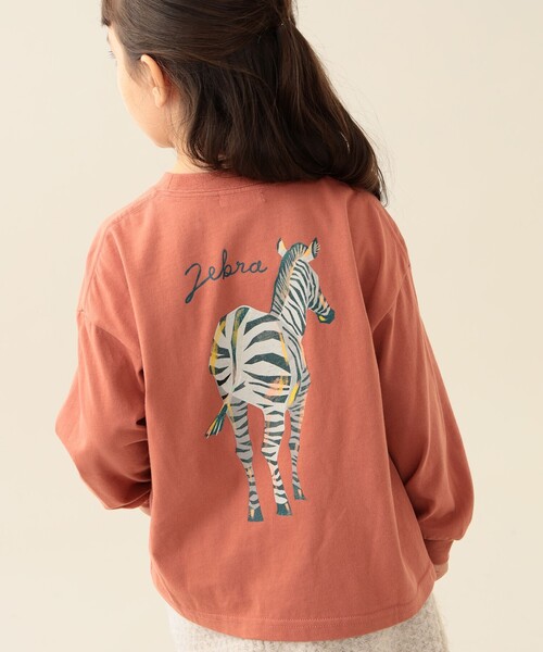 セール】アニマル HIP ロングスリーブ Tシャツ 2025FW（90～140cm）（T