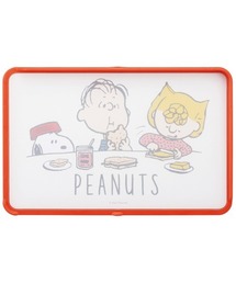 BACKYARD FAMILY（バックヤードファミリー）の「抗菌両面ガード付きまな板 KTMT1AG（キッチンツール）」