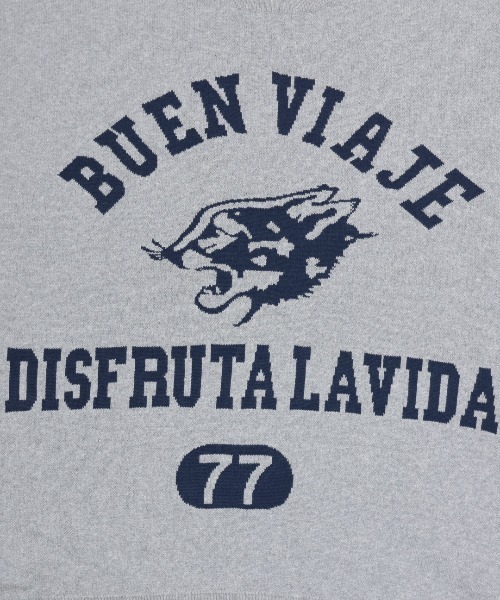 チチカカ（チチカカ）の「Orale! カレッジロゴニットプルオーバー（Tシャツ/カットソー・レディース・ボルドー/ライトグレー/ネイビー・FREE）」の18枚目の写真