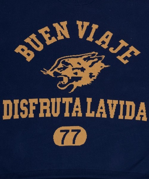 チチカカ（チチカカ）の「Orale! カレッジロゴニットプルオーバー（Tシャツ/カットソー・レディース・ボルドー/ライトグレー/ネイビー・FREE）」の19枚目の写真