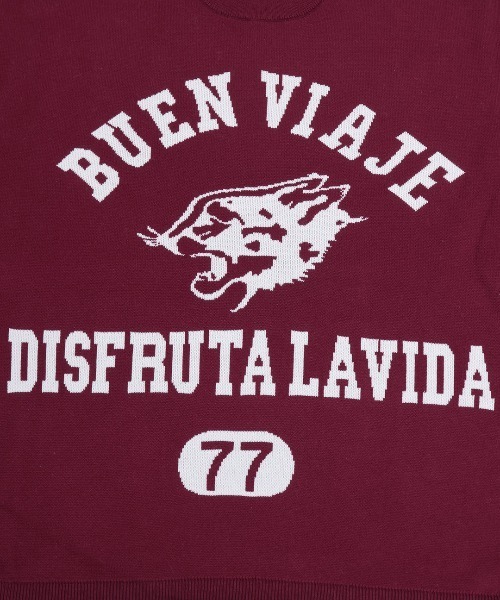 チチカカ（チチカカ）の「Orale! カレッジロゴニットプルオーバー（Tシャツ/カットソー・レディース・ボルドー/ライトグレー/ネイビー・FREE）」の20枚目の写真