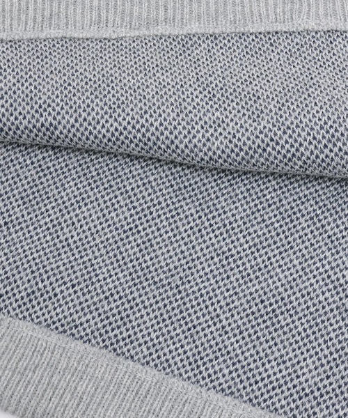 チチカカ（チチカカ）の「Orale! カレッジロゴニットプルオーバー（Tシャツ/カットソー・レディース・ボルドー/ライトグレー/ネイビー・FREE）」の21枚目の写真