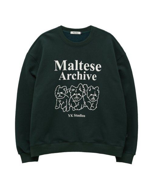WaiKei(ワイケイ)の「マルチーズアーカイブライングラフィックスウェットグリーン(スウェット・レディース・その他・1/2/3)」の5枚目の写真