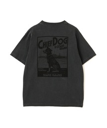 CHIEF DOG SLUB T-SHIRT / チーフドッグ スラブ Tシャツ / AVIREX / アヴィレックス