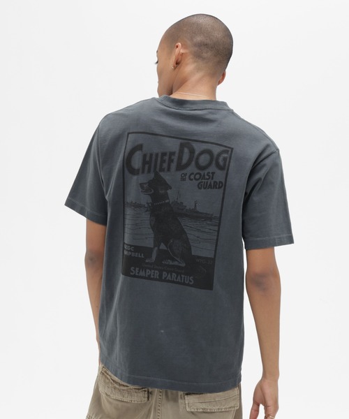 AVIREX（アヴィレックス）の「CHIEF DOG SLUB T-SHIRT / チーフドッグ スラブ Tシャツ / AVIREX / アヴィレックス（Tシャツ/カットソー・メンズ・キナリ/チャコール・XX-LARGE/LARGE/X-LARGE/MEDIUM）」の19枚目の写真