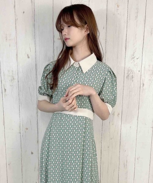 paravion（パラビオン）の「レトロワンピース（ワンピース・レディース・グリーン/ブラック・ONESIZE）」の12枚目の写真