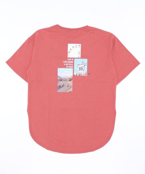 HONEYSUCKLE ROSE（ハニーサックルローズ）の「【HONEYSUCKLE ROSE】バックフォトＴシャツ（Tシャツ/カットソー・レディース・オフホワイト/オレンジ/ホワイト・M/L）」の4枚目の写真