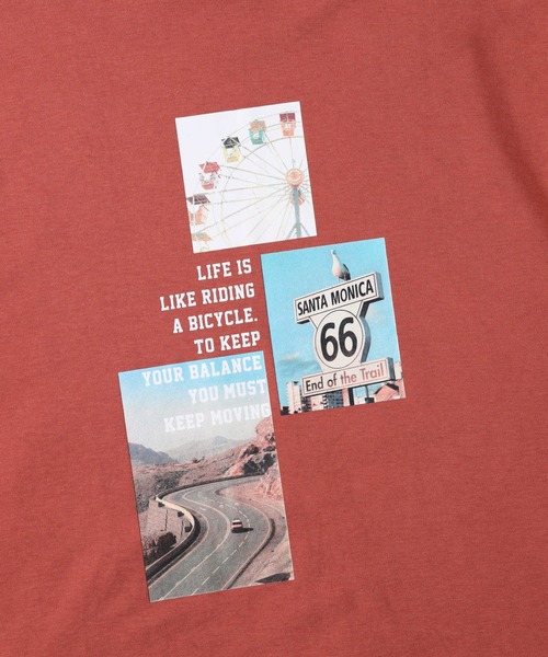 HONEYSUCKLE ROSE（ハニーサックルローズ）の「【HONEYSUCKLE ROSE】バックフォトＴシャツ（Tシャツ/カットソー・レディース・オフホワイト/オレンジ/ホワイト・M/L）」の18枚目の写真