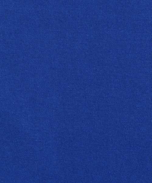 Ressaca（レサーカ）の「オーバーサイズ サテンロゴ刺繍スウェットプルオーバーパーカー（パーカー・メンズ・アッシュグレー/グレー/グリーン/ブラック/レッド/ブルー/ブラウン・L/M/XL）」の21枚目の写真