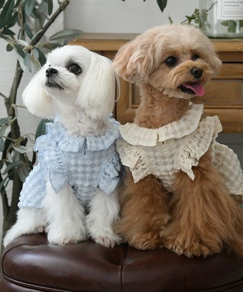 ROPE' PICNIC(ロペピクニック)の「ROPE' PICNIC/ぽこぽこカットソー(ペットウェア・メンズ・ブルー/アイボリー・2XS/XS/S/M/L/2L/2M)」の3枚目の写真
