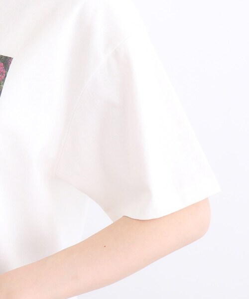 Tシャツ・カットソー GROVE BASE T-SHIRT 4BTR170 セール】フォトTシャツ（Tシャツ/カットソー）｜grove（グローブ