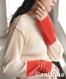 antiqua(AeBJ)̔zFv[cgbvX(TVc/Jbg\[)