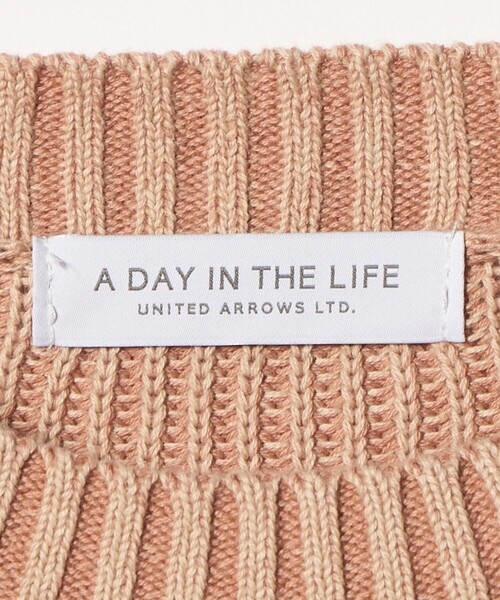 A DAY IN THE LIFE UNITED ARROWS（アデイインザライフユナイテッドアローズ）の「コットン フェードライク アゼニット ‐ウォッシャブル‐＜A DAY IN THE LIFE＞（ニット/セーター・レディース・ダークグレー/オレンジ/ライラック・FREE）」の18枚目の写真