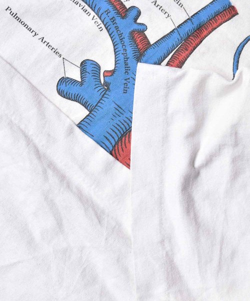 VINTAGE（ヴィンテージ）の「【ヴィンテージ古着】70's 心臓デザイン Tシャツ（Tシャツ/カットソー・メンズ・ホワイト・LARGE）」の5枚目の写真