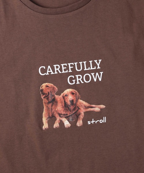 HONEYSUCKLE ROSE（ハニーサックルローズ）の「【HONEYSUCKLE ROSE】アニマルフォトＴシャツ（Tシャツ/カットソー・レディース・ホワイト/オフホワイト/ブラウン・L/M）」の10枚目の写真