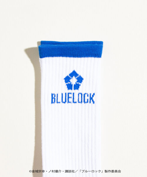 GLOSTER（グロスター）の「【BLUELOCK/ブルーロック】ロゴラインソックス（ソックス/靴下・メンズ・ホワイト系その他/ホワイト系その他2・FREE）」の5枚目の写真
