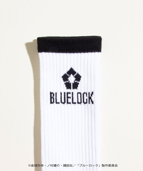 GLOSTER（グロスター）の「【BLUELOCK/ブルーロック】ロゴラインソックス（ソックス/靴下・メンズ・ホワイト系その他/ホワイト系その他2・FREE）」の9枚目の写真