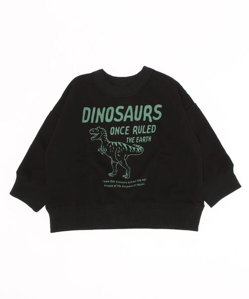ALPHA LABEL(アルファーレーベル)の「DINOSAUR LOGO WARM SWEAT(スウェット・キッズ・ブラック/グリーン/ベージュ/ターコイズブルー・120/130/110/140/150/90/100)」の1枚目の写真