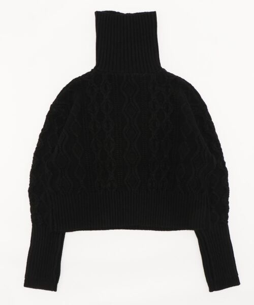 SALON adam et rope'（サロン アダム エ ロペ）の「ハーフジップクロップドケーブルニットプルオーバー（ニット/セーター・レディース・ベージュ系その他2/ブラック・FREE）」の19枚目の写真