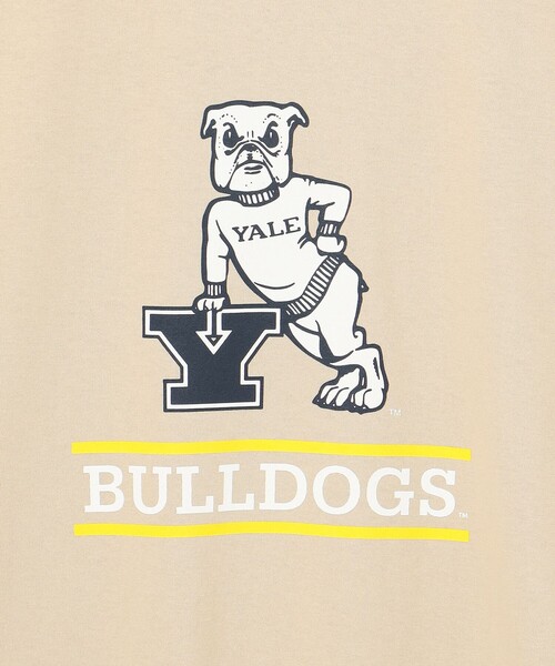 J.PRESS YORK STREET(ジェイプレスヨークストリート)の「【UNISEX】YALE × J.PRESS YORK STREET コラボTシャツ(Tシャツ/カットソー・メンズ・ベージュ系/ネイビー系/ライトグレー系/ホワイト系・SMALL/MEDIUM/LARGE)」の9枚目の写真