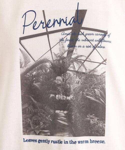 THE SHOP TK (ザ ショップ ティーケー )の「カレッジ&フォトプリントTシャツ【洗濯機OK】(Tシャツ/カットソー・レディース・グリーン/ベージュ系その他4/ブラック系その他/オフホワイト・13/12)」の20枚目の写真