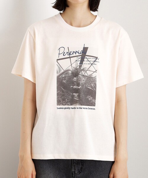 THE SHOP TK (ザ ショップ ティーケー )の「カレッジ&フォトプリントTシャツ【洗濯機OK】(Tシャツ/カットソー・レディース・グリーン/ベージュ系その他4/ブラック系その他/オフホワイト・13/12)」の21枚目の写真