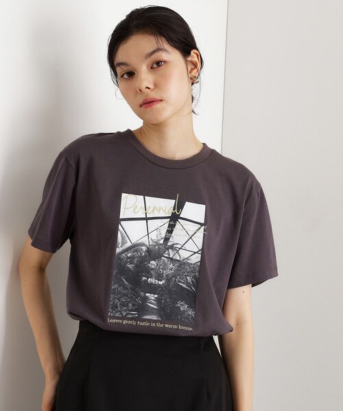 THE SHOP TK (ザ ショップ ティーケー )の「カレッジ&フォトプリントTシャツ【洗濯機OK】(Tシャツ/カットソー・レディース・グリーン/ベージュ系その他4/ブラック系その他/オフホワイト・13/12)」の2枚目の写真