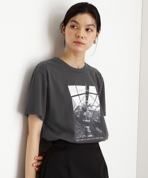 THE SHOP TK (ザ ショップ ティーケー )の「カレッジ&フォトプリントTシャツ【洗濯機OK】(Tシャツ/カットソー・レディース・グリーン/ベージュ系その他4/ブラック系その他/オフホワイト・13/12)」の13枚目の写真