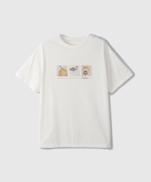 VICKY（ビッキー）の「接触冷感フルーツTシャツ（Tシャツ/カットソー・レディース・イエロー系その他/ピンク系その他/グリーン系その他・M）」の19枚目の写真