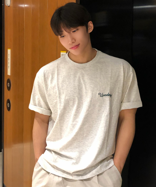 MINDBRIDGE（マインドブリッジ）の「[UNS]ドゥグッド_バックポイントオーバーサイズ半袖Tシャツ - 3カラー（Tシャツ/カットソー・メンズ・ライトブラウン/オートミール/グレー・100/105/110/95）」の16枚目の写真
