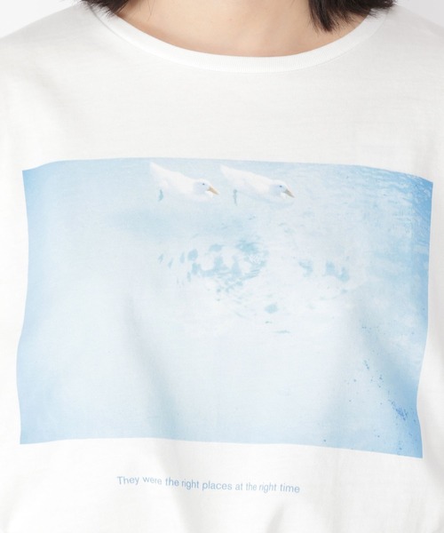 studio CLIP(スタディオクリップ)の「フォトグラファーコラボTシャツ(Tシャツ/カットソー・レディース・その他1/その他2/その他3・FREE)」の19枚目の写真
