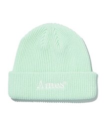 BASIC LOGO BEANIE MINT