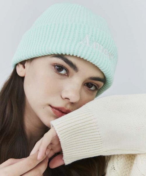 AMESWORLDWIDE(アメスワールドワイド)の「BASIC LOGO BEANIE MINT(ニットキャップ/ビーニー・レディース・その他・FREE)」の7枚目の写真